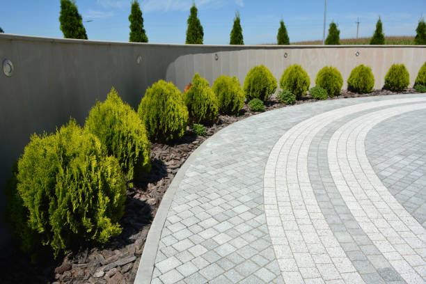 Best Driveway Paving Contractor  in Aldine, TX